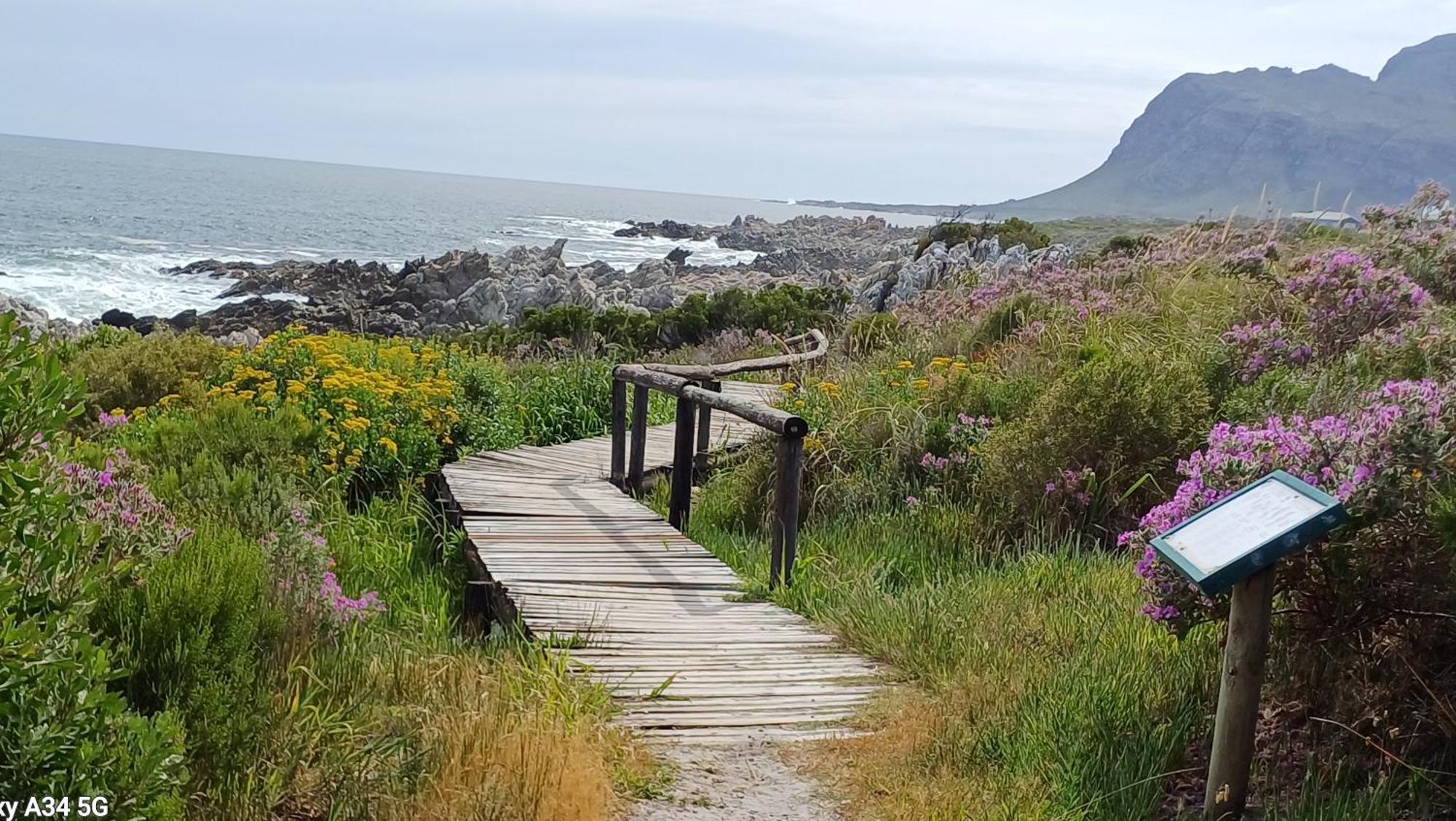 Kleinmond Panorama Holidays Bagian luar foto